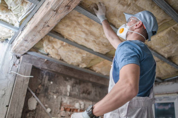 Best Attic Insulation Installation  in Paradise, NV