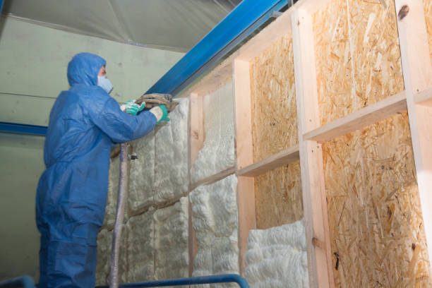Trusted Paradise, NV Insulation Contractor Experts