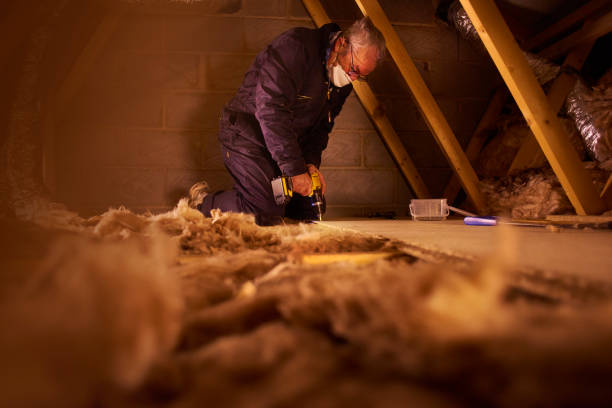 Best Spray Foam Insulation  in Paradise, NV